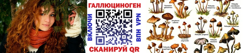 Галлюциногенные грибы Cubensis  Сковородино 